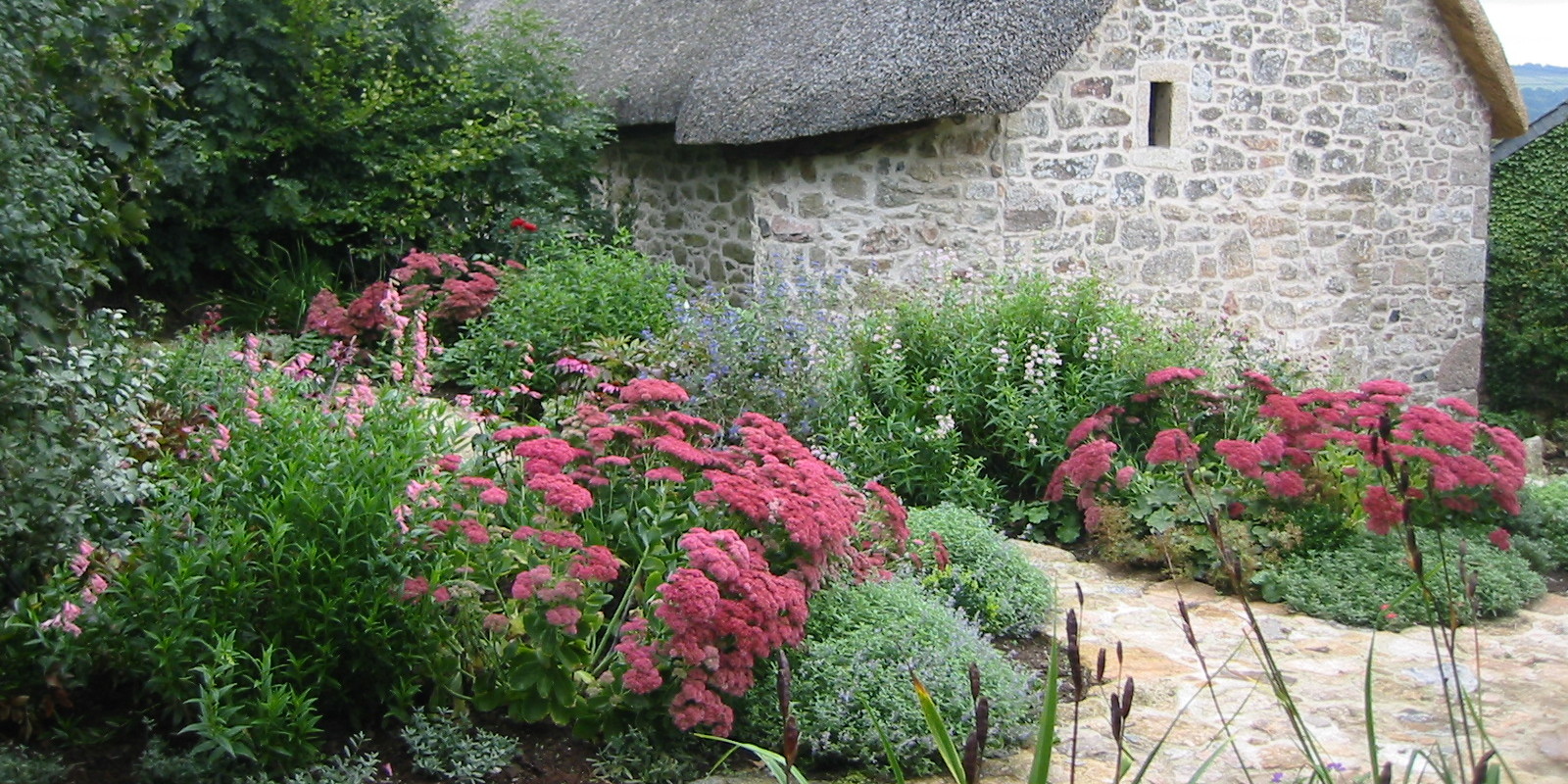 Garden Designer, Devon.