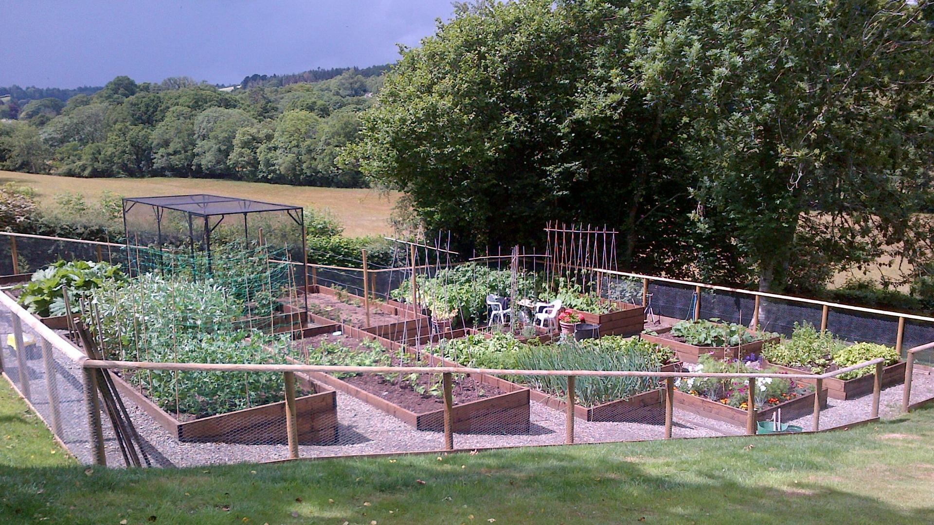 Steeply sloping vegetable garden