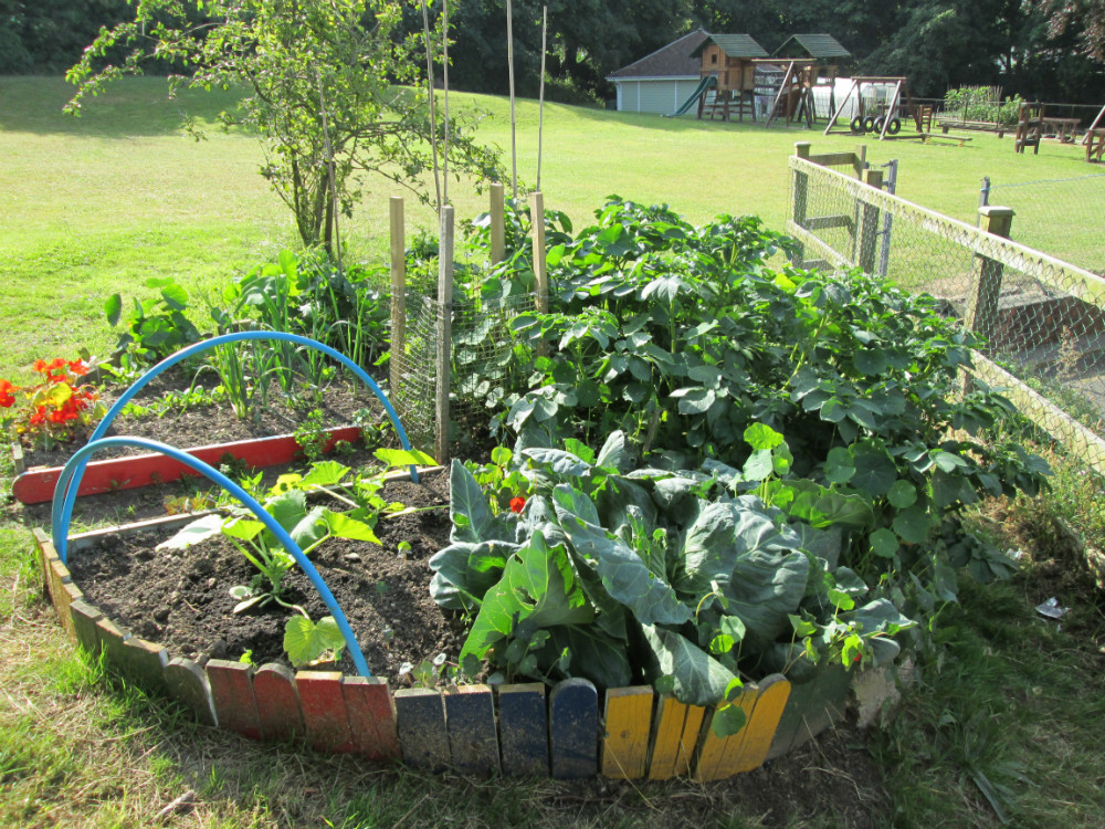 Vegetable Garden Design, North Devon.